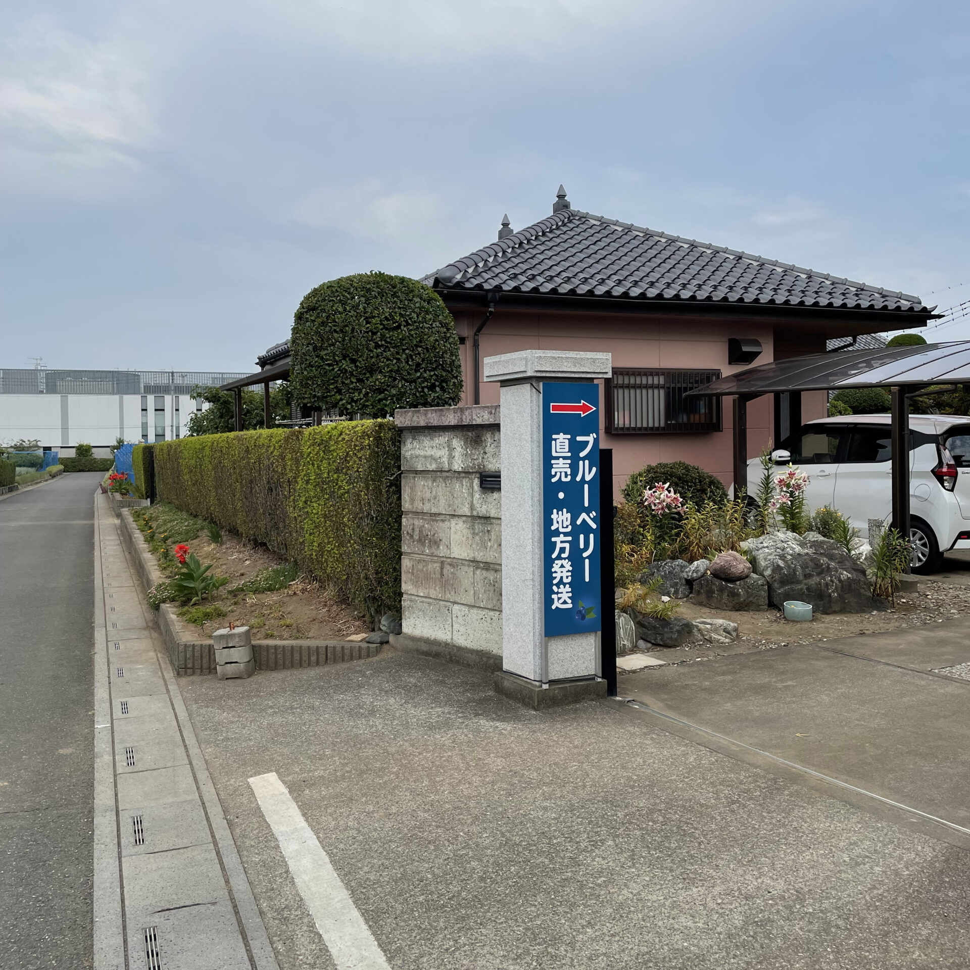 野原観光農園