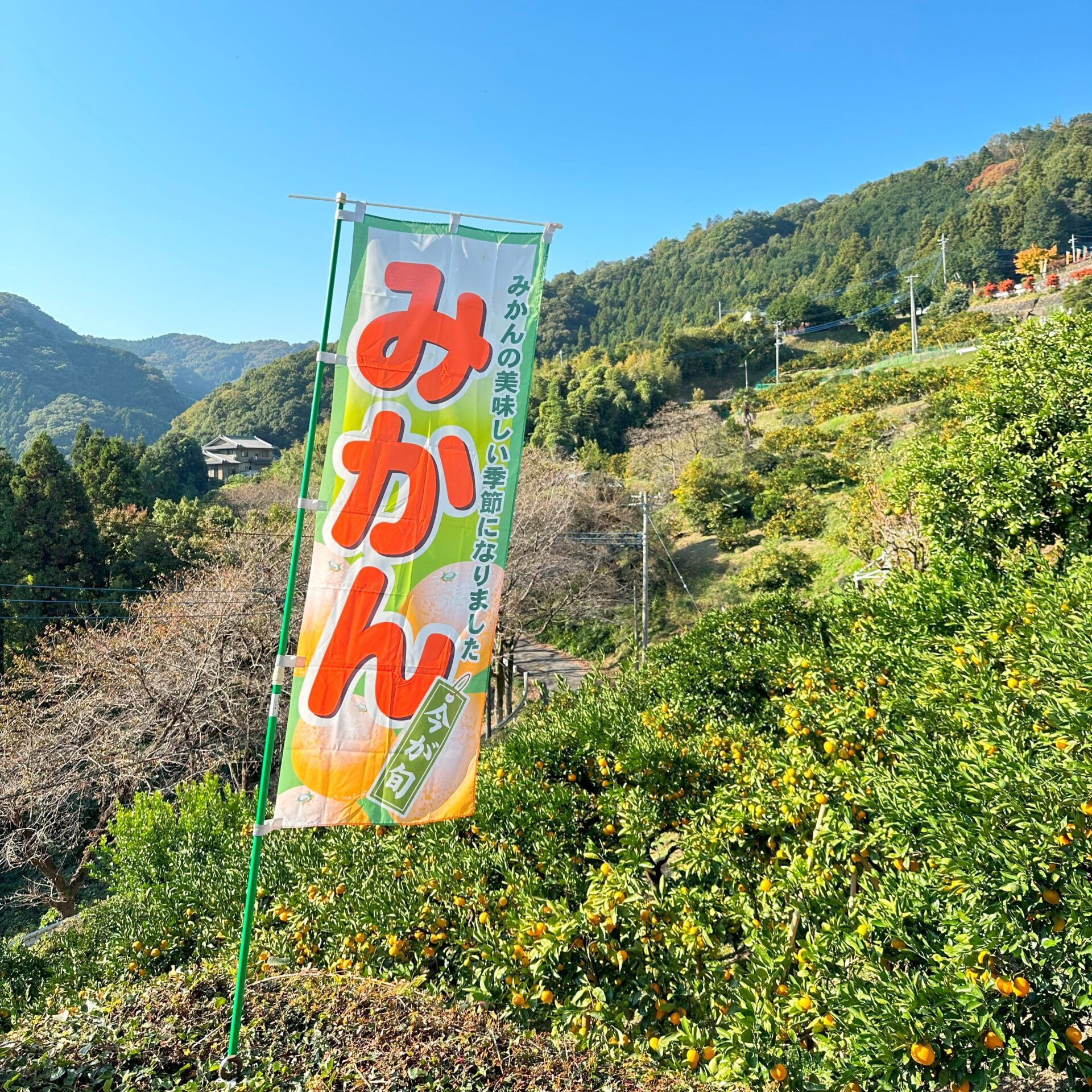 寄居町たちばな園