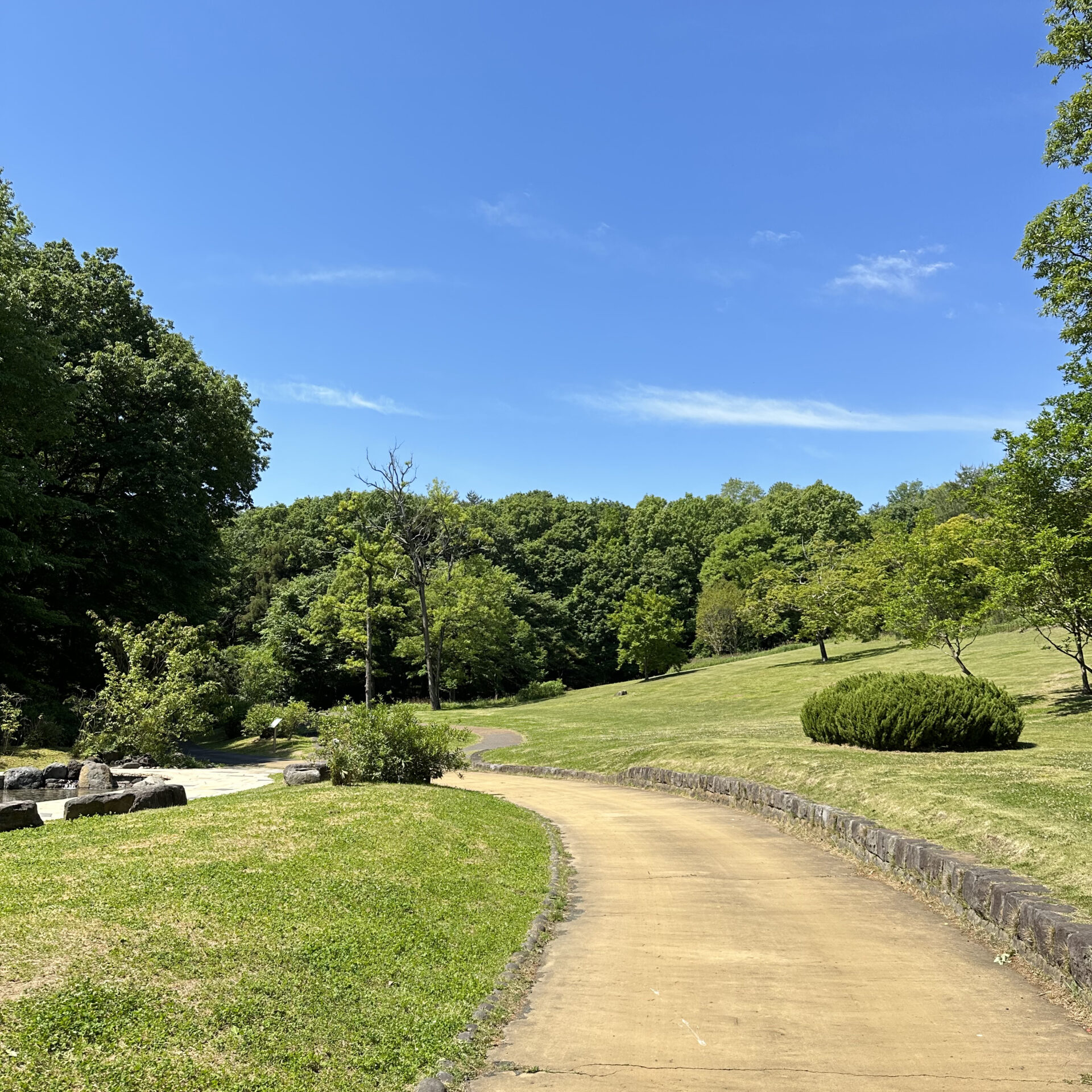 国営武蔵丘陵森林公園