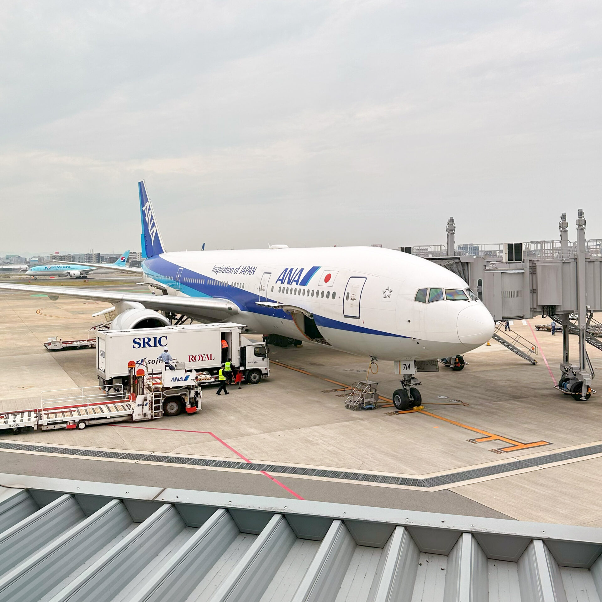 ANAの機材福岡空港にて