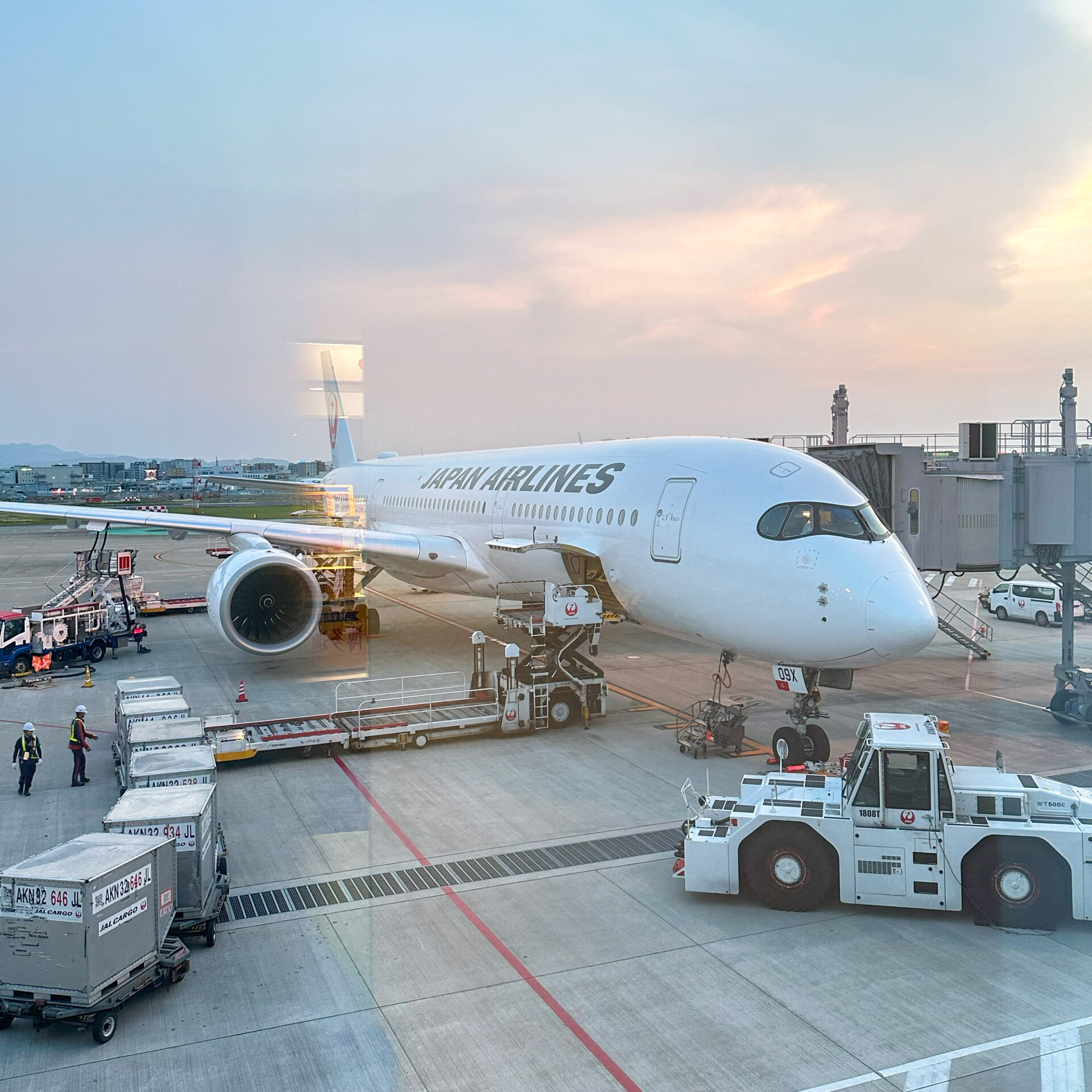 JALの機材福岡空港にて