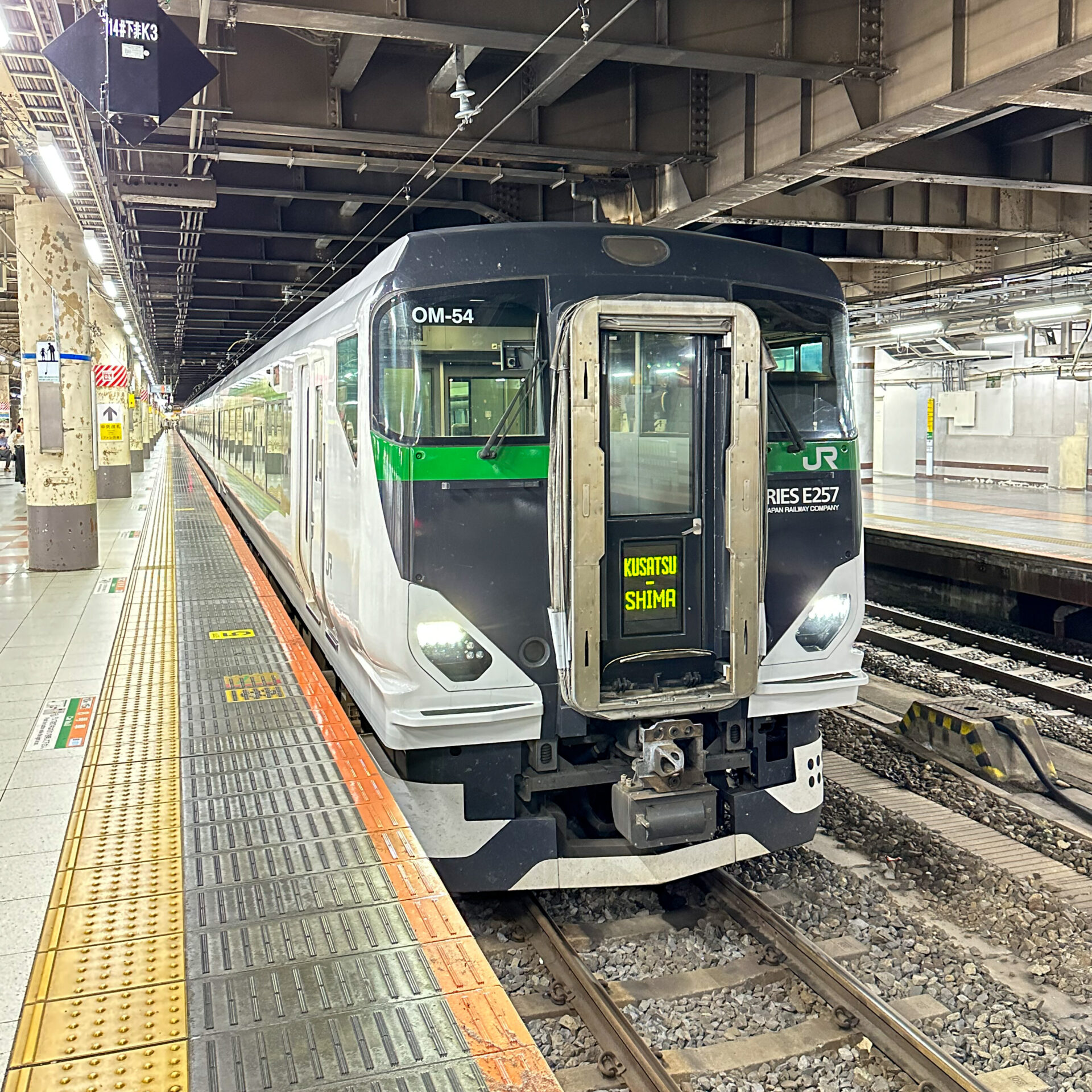 E257系電車上野駅にて